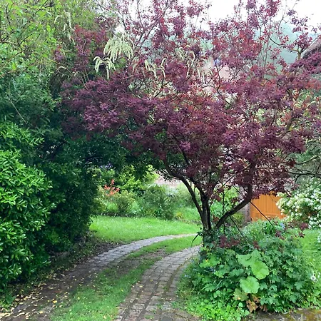 La Flore * Saint-Jouin-Bruneval