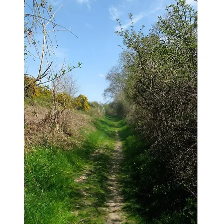 بيت للعطل La Flore *