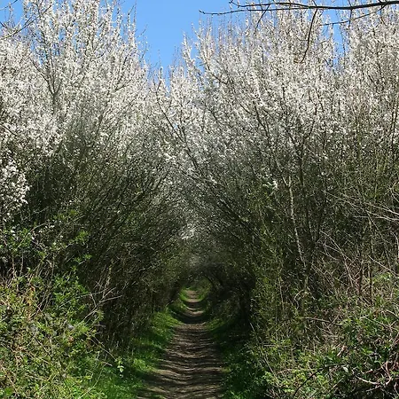 بيت للعطل La Flore