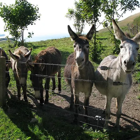 بيت للعطل La Flore