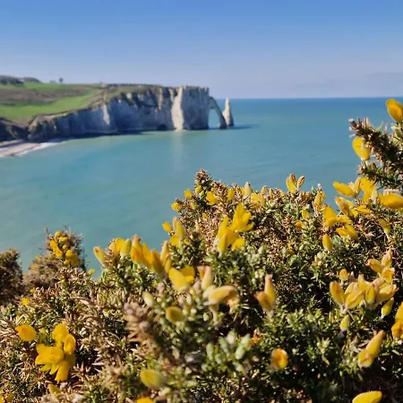 Semesterbostad La Flore *