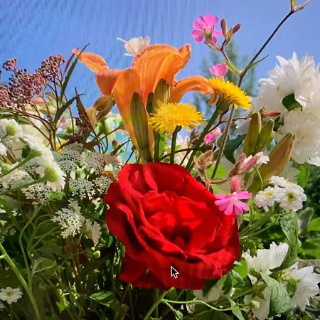 La Flore