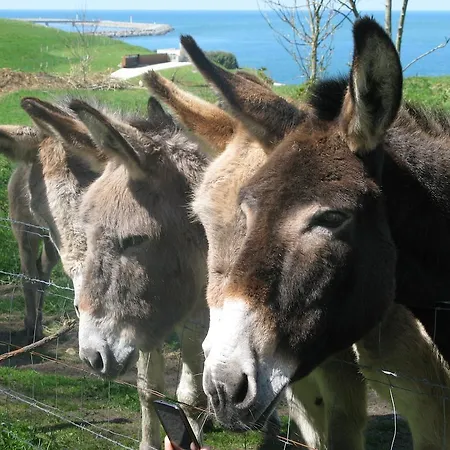 La Flore Saint-Jouin-Bruneval