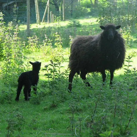 Semesterbostad La Flore *